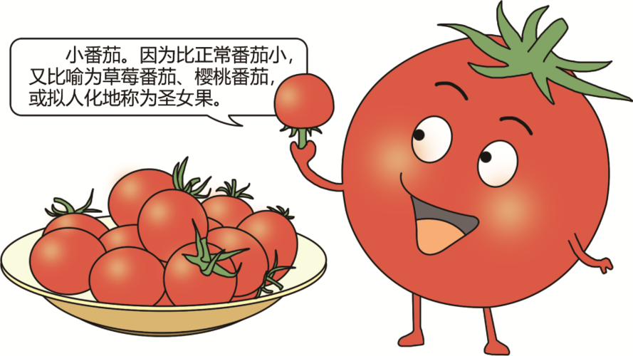 市场上的圣女果紫薯彩椒等都是转基因品种吗