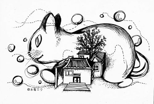 《猫与屋》