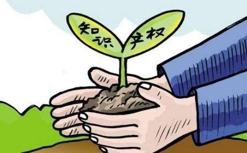 知识产权中的著作权具有哪些特征呢?