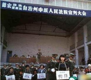 陶静在公审大会上