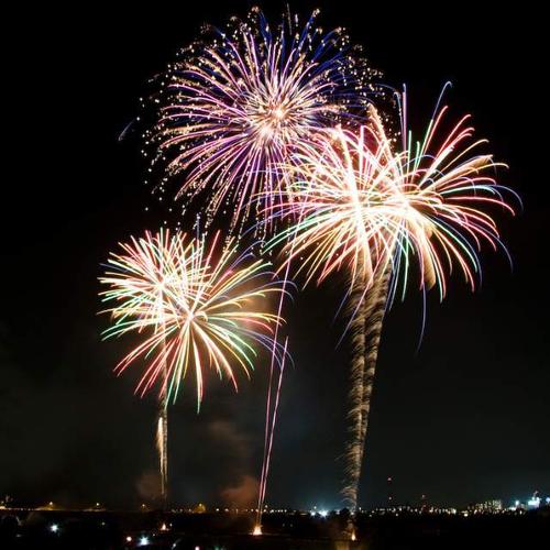 各式各样的烟花在升空前长得都一样,爆炸了才变身