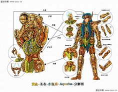 黄金圣衣分解图彩色版