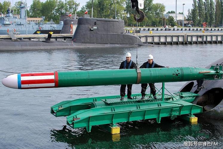 费劲巴力研发重型鱼雷,却不给潜艇用,印海军这款鱼雷有何玄机?