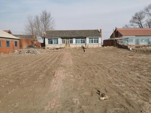 大石桥西部:传统东北农村面貌