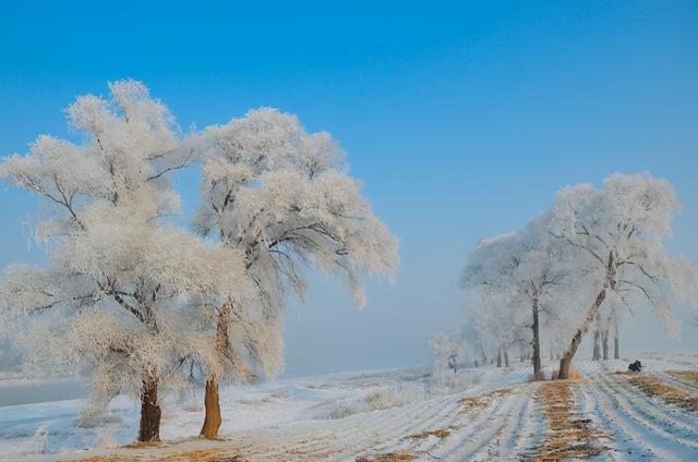 景色既野又美老百姓的口碑中,都认为雾凇岛上的风光是吉林雾凇之冠