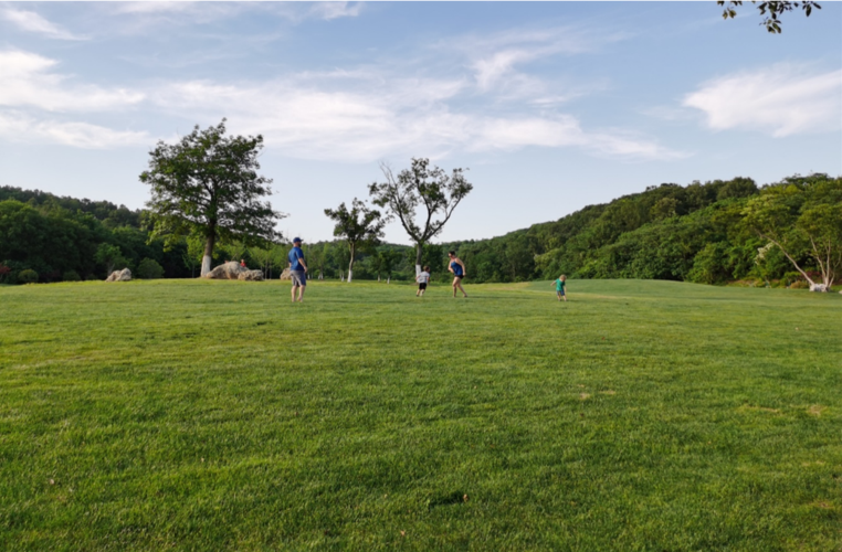 仙林生态人居新景苏邑设计羊山公园景观提升工程