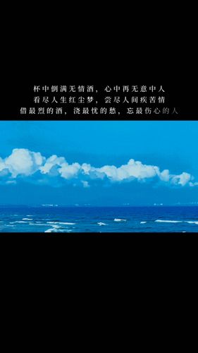 度小视文案杯中倒满无情酒心中再无意中人看尽人生红尘梦尝尽人间疾苦