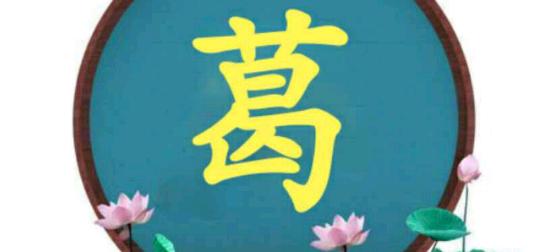 葛姓的历史大调查手抄报党的历史手抄报