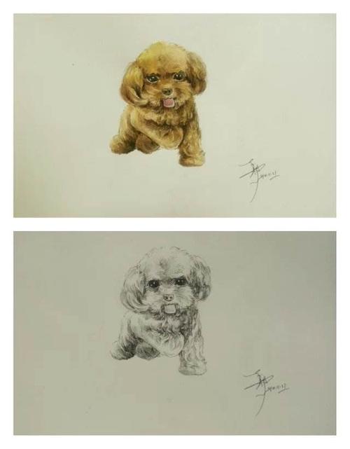 小狗素描画草稿小狗水彩画