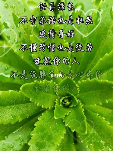 人与人之间相处靠的是真诚!