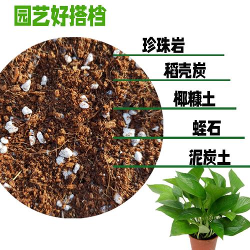 园艺出口级珍珠岩蛭石养花月季兰花植料盆栽多肉种植营养土粉末少