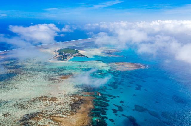 西沙群岛上竟然发现了上百头的野牛群