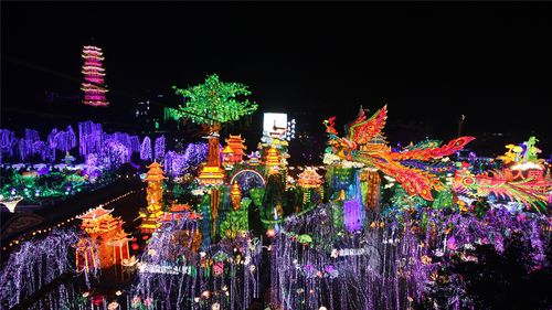 自贡灯会展览 - 自贡朗欧彩灯文化艺术有限公司