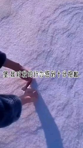 生而为人我很抱歉