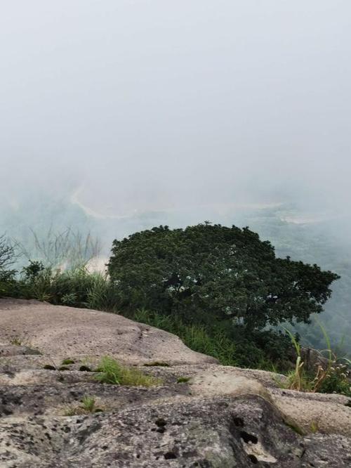 云髻山,新丰江之源,岭南避暑胜地,切莫登顶!