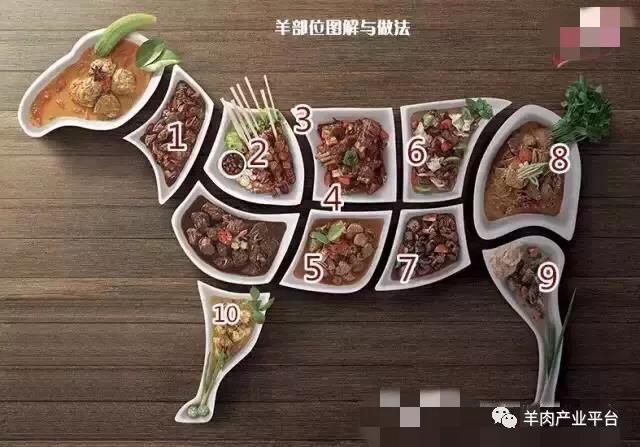 羊酮体怎么分割