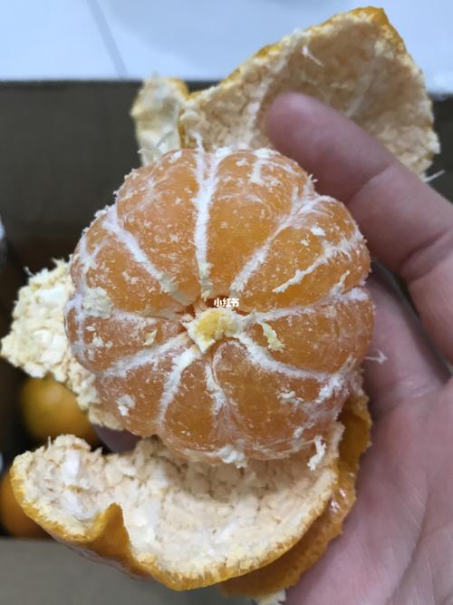 芭芭农场兑换的蜜桔_自行车_芭芭农场_美食_美食测评