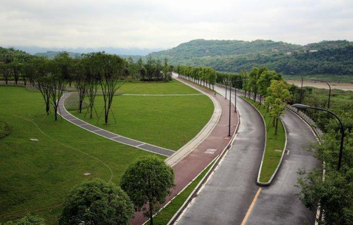 郊游广阳岛:雨后初晴日,赏花正当时