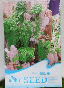 盆景苔藓绿植种子 假山草种子 吸水石草粒 上水石假山绿化草种子 新品