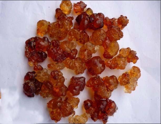 请注意:本图片来自郑州市二七区浩财涂料商行提供的桃胶产品,图片仅供