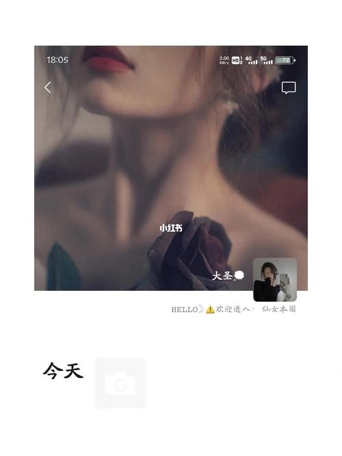 高级背景图 拒绝恋爱_恋爱_高级背景图_素材_壁纸