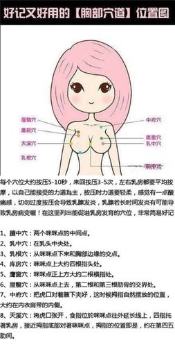 胸部穴道位置图