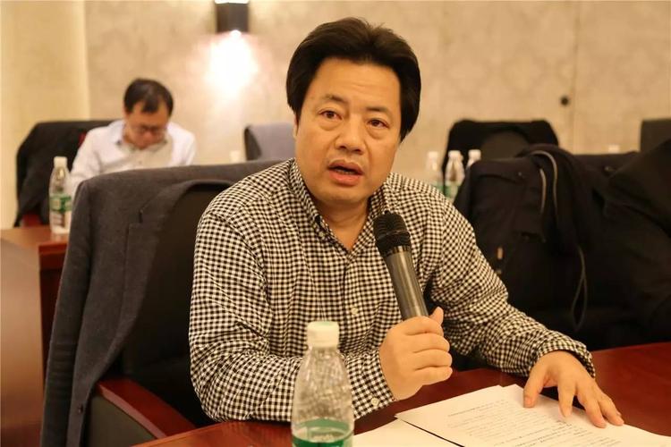 副会长,医药互联网分会筹备组负责人王海平汇报发言