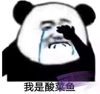 我是一条酸菜鱼表情包