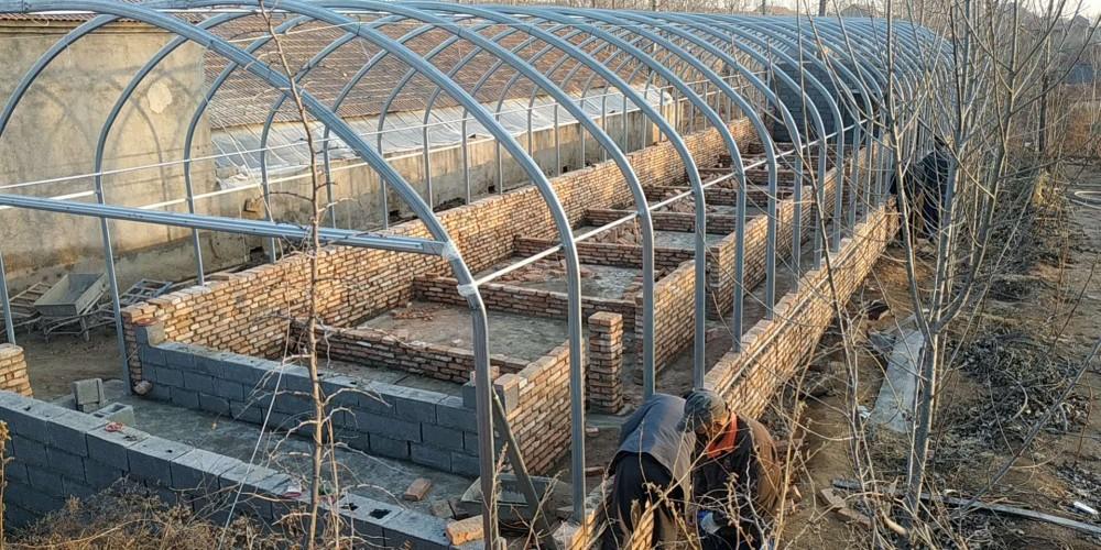 温室养殖大棚肉牛羊温室养殖大棚肉鸭蛋鸡养殖大棚家可信赖