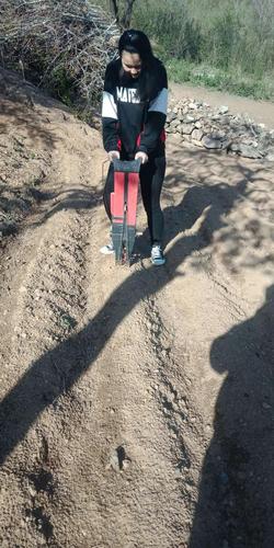 六年一班五一劳动节学生劳动照片