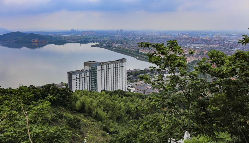 慈溪达蓬山的杨梅熟了(2020.6.10)