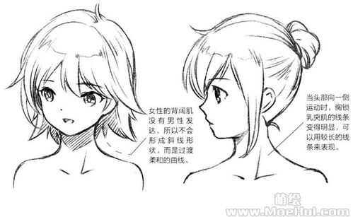 另外,背部的斜方肌,让颈部到肩膀的部分形成一个倾斜的角度.