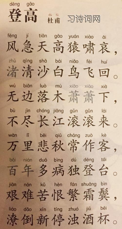 登高杜甫古诗原文翻译及鉴赏