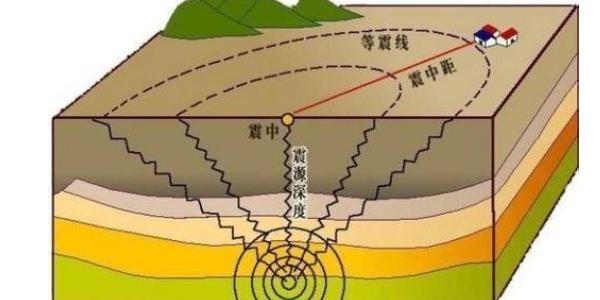 地震波分为几种波