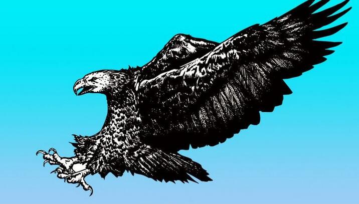 典传国术:鹰爪与鹰捉