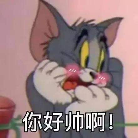 幽默搞笑表情包:你好帅啊