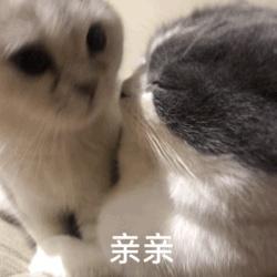 有没有给女朋友亲亲的表情包?