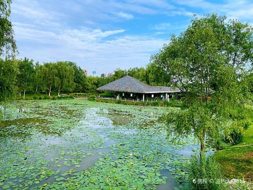 陕西西安浐灞国家湿地公园是国家aaaa级旅游景区位于陕西省西安市境内
