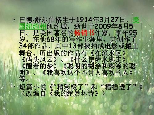 语文 《精彩极了和糟糕透了》两课时课件ppt    巴德· 舒尔伯格