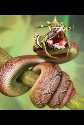 这到底是什么蛇啊?