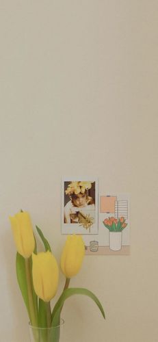 壁纸温柔两半从容一生