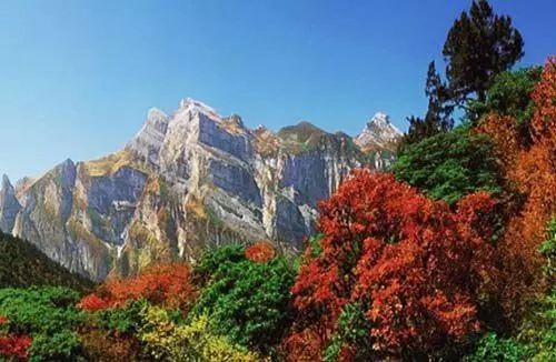 九龙山国家森林公园