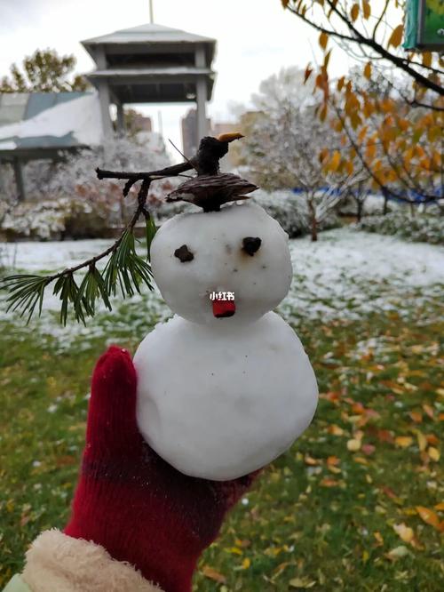 mini手捧雪人_石家庄市攻略_生活记录_接地气生活
