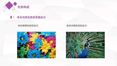 第五章 色彩肌理与色彩的采集,重构