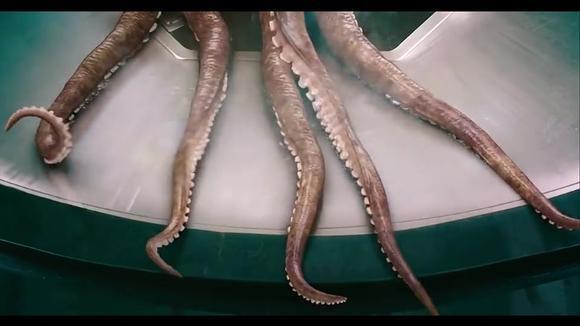 【电影】最惨八爪鱼:罗志祥 本想刺杀人类反被切掉触手做铁板烧