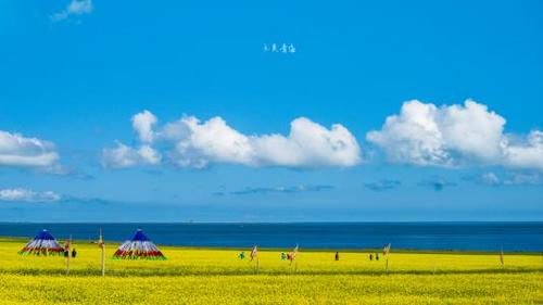 大美青海儿童画