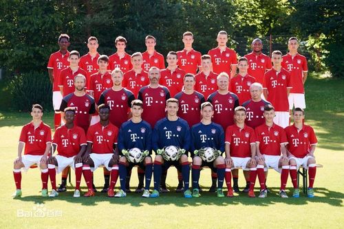 拜仁慕尼黑足球俱乐部(fc bayern munich),简称拜仁慕尼黑或拜仁,是
