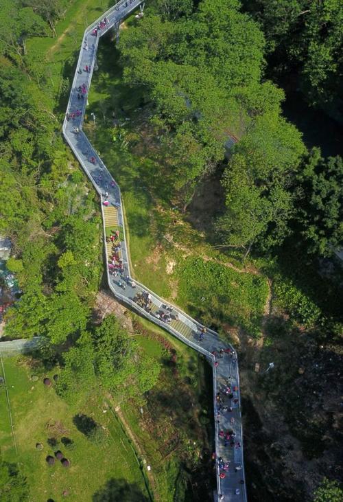 【行行摄摄】想体验人在画中游,来广州绿道吧!