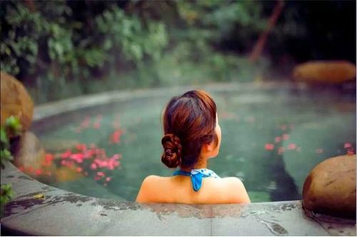 武陵峡口温泉酒店 > 正文 武陵峡口生态旅游区位于湖北省远安县洋坪镇