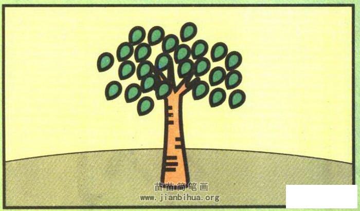杨树简笔画图片大全,教程